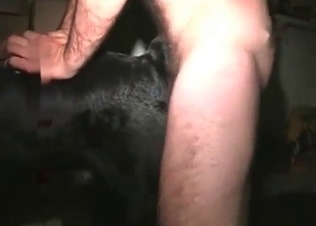 Fucking that slutty doggy