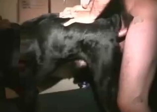 Fucking that slutty doggy