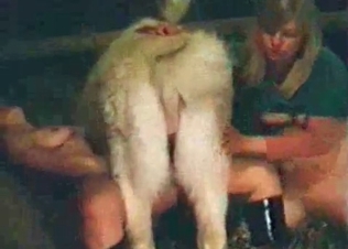 Two hot babes seducing a horse