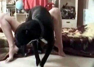 Aroused hound gets what it wants