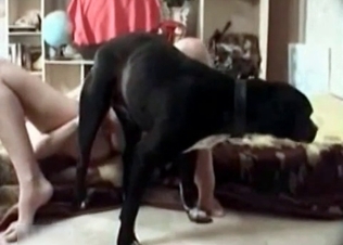 Aroused hound gets what it wants