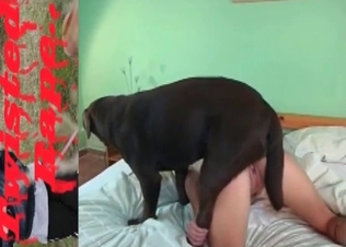 Intensely aroused dog gets its way