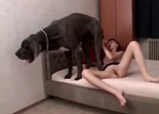 Massive dog equals massive cock