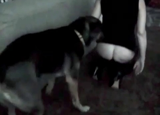 Doggy style fucking from a horny dog