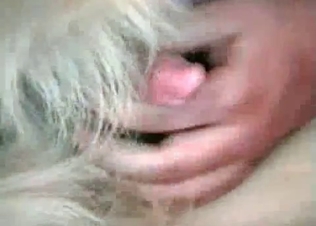 She wants to suck off this sheep