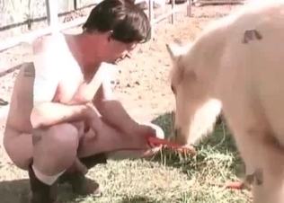 Stud enjoying his pony-loving action