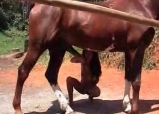 Thirsty horse fucking a hottie