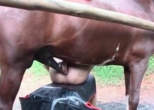 Horse gets to fuck her like a total slut