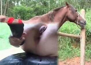 Horse gets to fuck her like a total slut