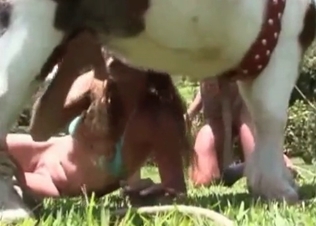 Sucking off this amazing horse dick
