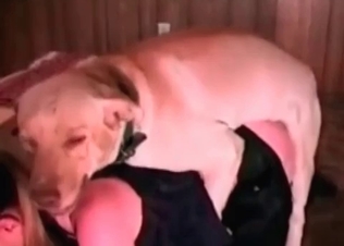 Dog gets to rail her really good