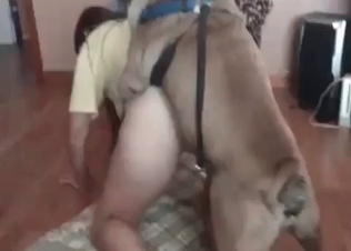 Shy babe and her shy little doggy