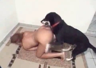 Sexy domme playing around with a doggy