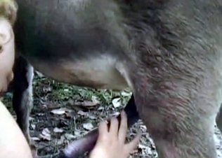 Deepthroating horse cock on cam