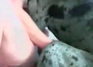 Cane Corso munching on that juicy cunt