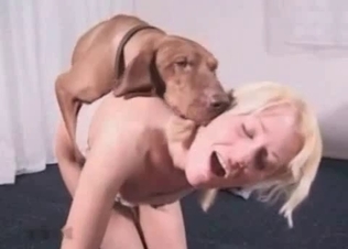 Furious pet sex scene