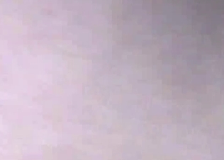 Tight horse asshole pleasured