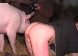 Juicy pussy ravaged by a stallion