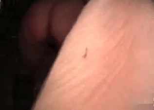 Juicy pussy ravaged by a stallion