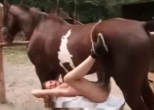 Tight little hole used by a horse cock