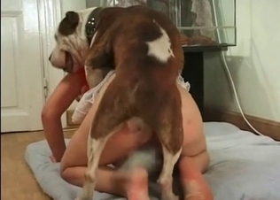 Little kinky bitch railed by a dog