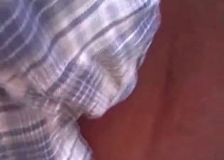 Anal penetration for an animal