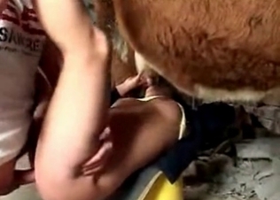 She’s cheating with a sexy cow