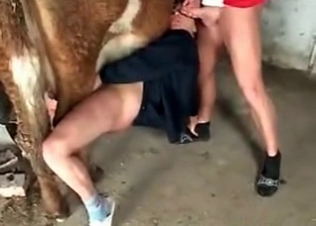 She?s cheating with a sexy cow