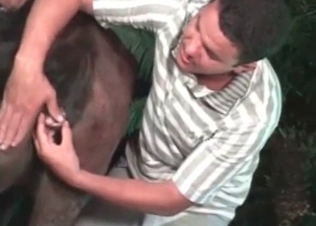 Horse’s anal hole pleasured