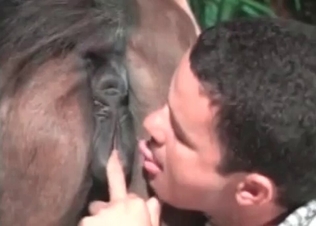 Horse’s anal hole pleasured