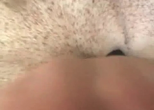 Horse fucking like a pro