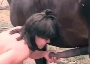 Horse cock jerked off on cam