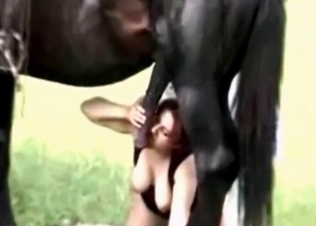 Hot dick-stroking for a horse