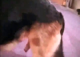Short-haired babe loves fucking animals
