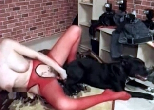 Ass-to-pussy steamy action with a dog