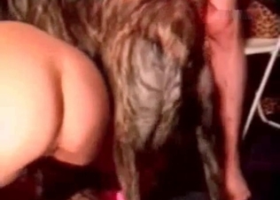 Two babes love fucking animals