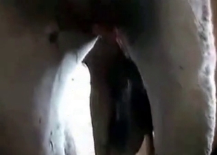 Stallion gets the insane amounts of pleasure
