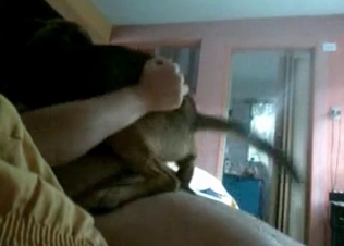 Pet gets to pleasure owner’s thick cock