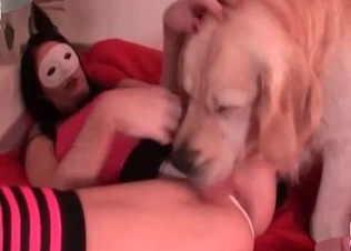 Dog fucking its owner rough