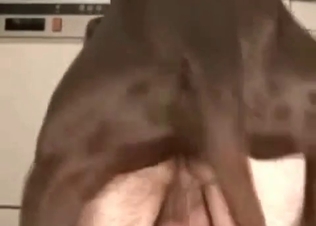 Doggy loves a quickie
