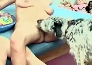 Puppy’s cock royally serviced