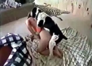 She lets her Dalmatian fuck her