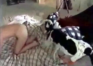 She lets her Dalmatian fuck her