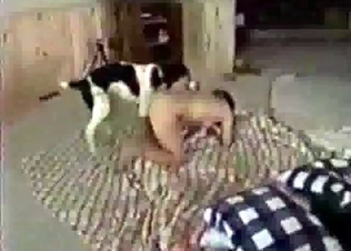 She lets her Dalmatian fuck her