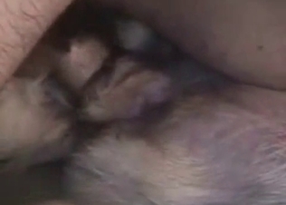 This slutty dog loves being filled