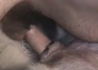 This slutty dog loves being filled