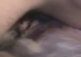 This slutty dog loves being filled