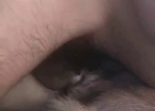 This slutty dog loves being filled