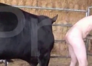 Animal gets to fuck a clothed babe