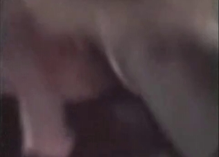 Hot and kinky zoo porn shown up close